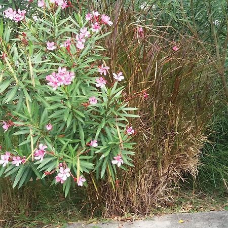 Comfy Home-Tropical Garden & 5 Min Walk To Beach Tamarin ภายนอก รูปภาพ