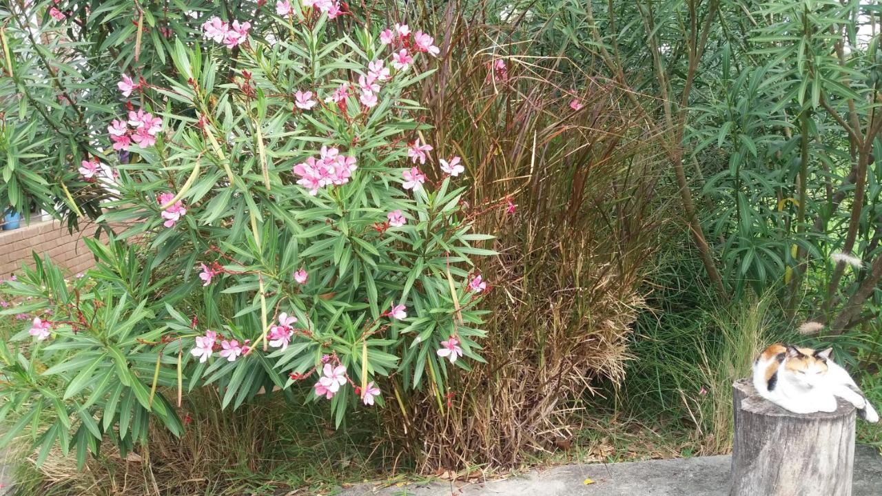 Comfy Home-Tropical Garden & 5 Min Walk To Beach Tamarin ภายนอก รูปภาพ