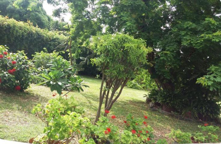 Comfy Home-Tropical Garden & 5 Min Walk To Beach Tamarin ภายนอก รูปภาพ